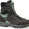 Hanwag Banks Snow GTX Laarzen Dames, Grijs