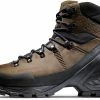 Mammut Trovat Advanced II High GTX Schoenen Heren, Bruin/zwart