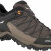 SALEWA MTN Trainer Lite GTX Schoenen Heren, Bruin/oranje 2 SALEWA MTN Trainer Lite GTX Schoenen Heren, Bruin/oranje -Casual schoenen Shop salewa mtn trainer lite gtx schuhe herren wallnut fluo orange 1